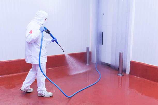 Best Spring Cleaning  in Golden Gate, FL